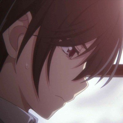 上坟烧纸猫后收到真猫当事人发声